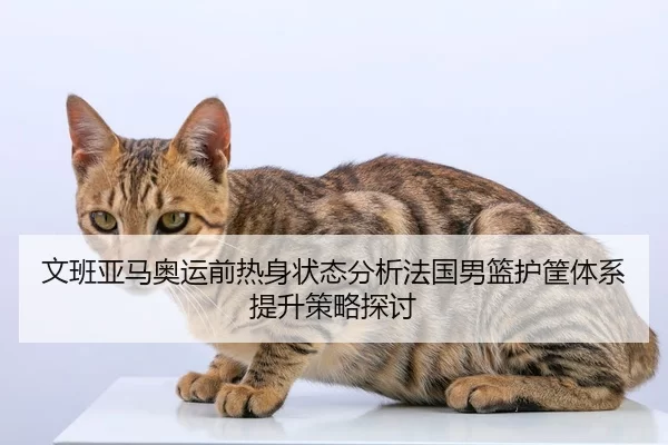 wen-ban-ya-ma-ao-yun-qian-re-shen-zhuang-tai-fen-xi-fa-guo-nan-lan-hu-kuang-ti-xi-ti-sheng-ce-lve-tan-tao-2-817.jpg