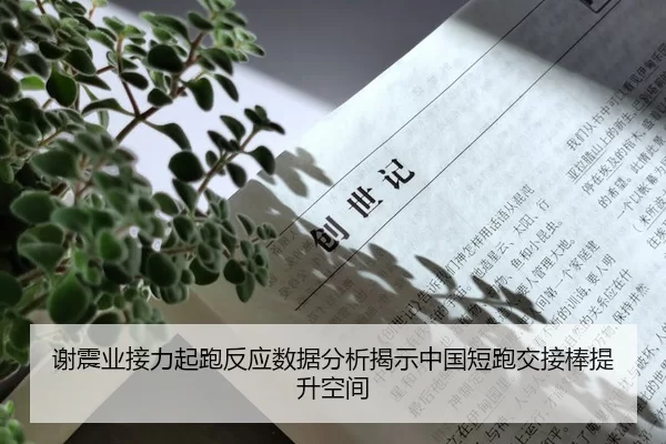 谢震业接力起跑反应数据分析揭示中国短跑交接棒提升空间