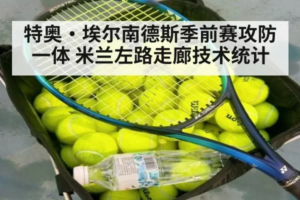 特奥·埃尔南德斯季前赛攻防一体 米兰左路走廊技术统计