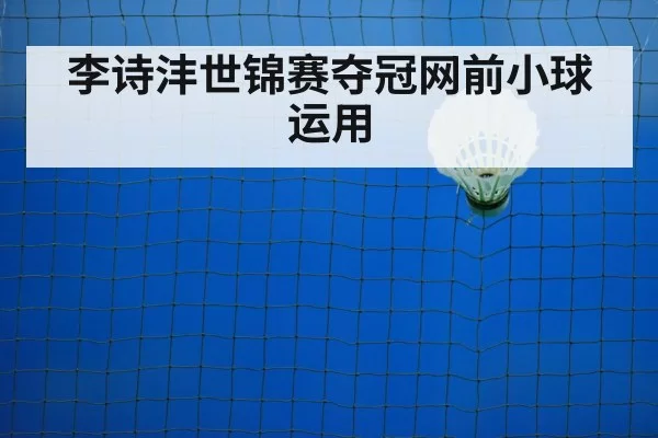 李诗沣世锦赛夺冠网前小球运用